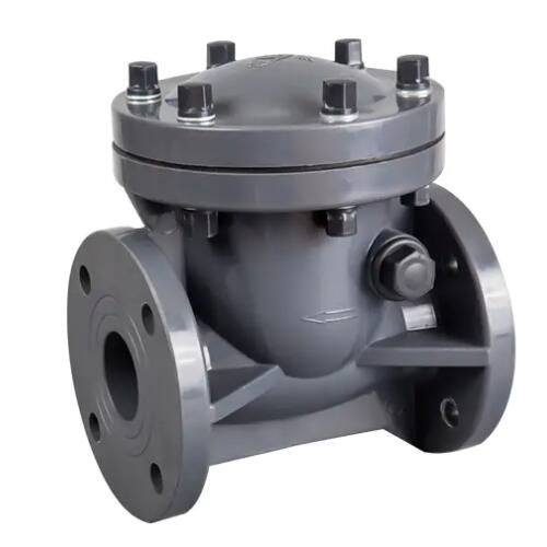 China plastic swing check valve